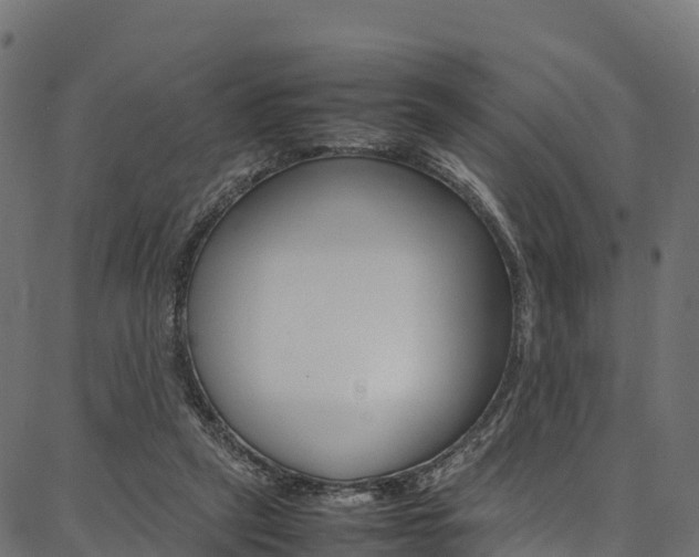 X0000086790257200704130902