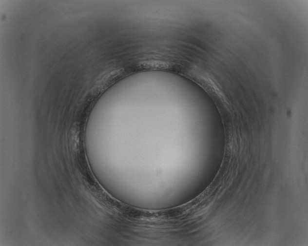 X0000086790259200704130902