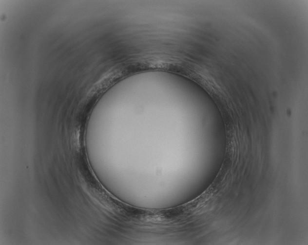 X0000086790262200704130902
