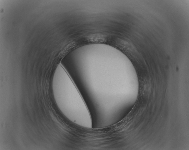 X0000086790263200704130902