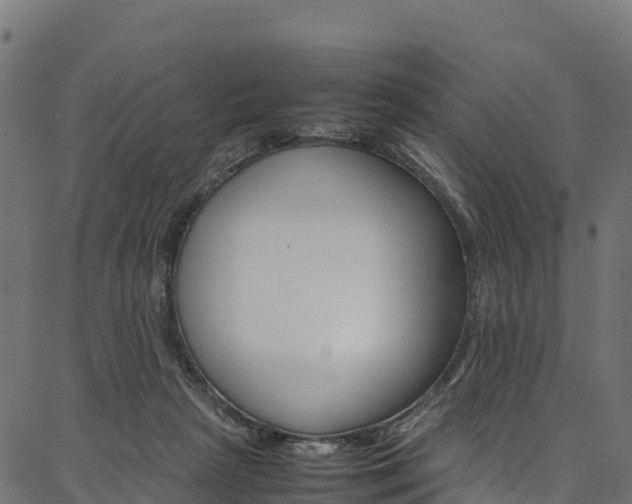 X0000086790265200704130902