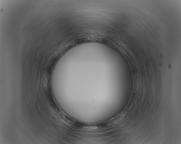X0000086790266200704130902