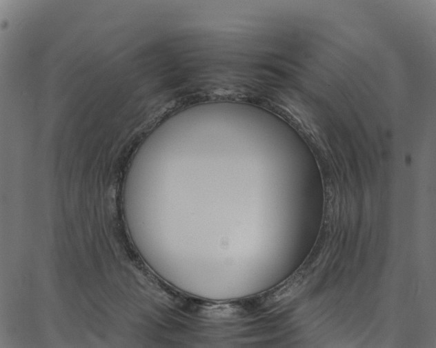 X0000086790269200704130902