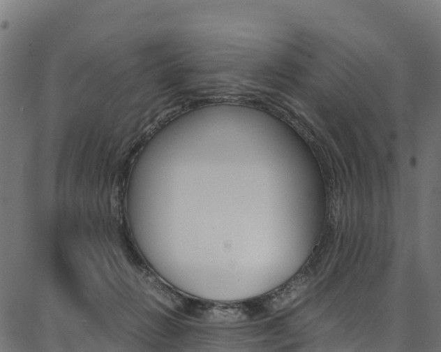 X0000086790270200704130902