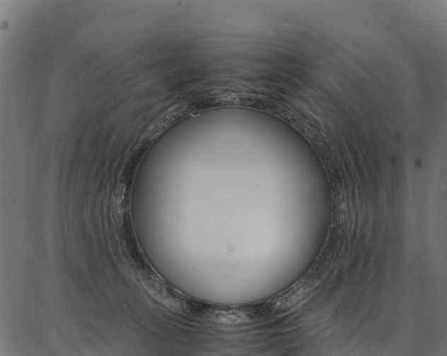 X0000086790275200704130902