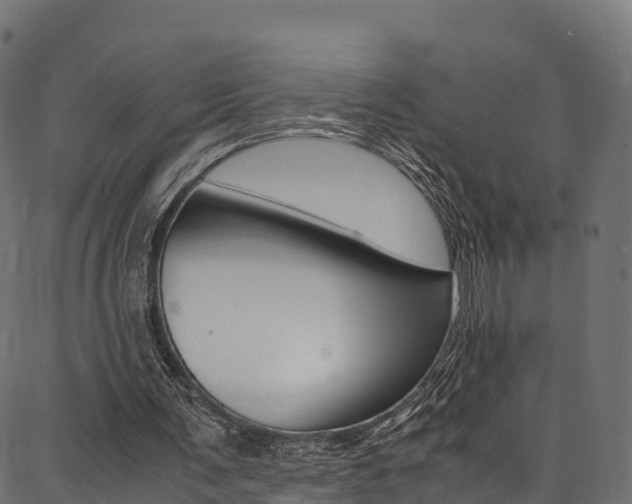 X0000086790291200704130901