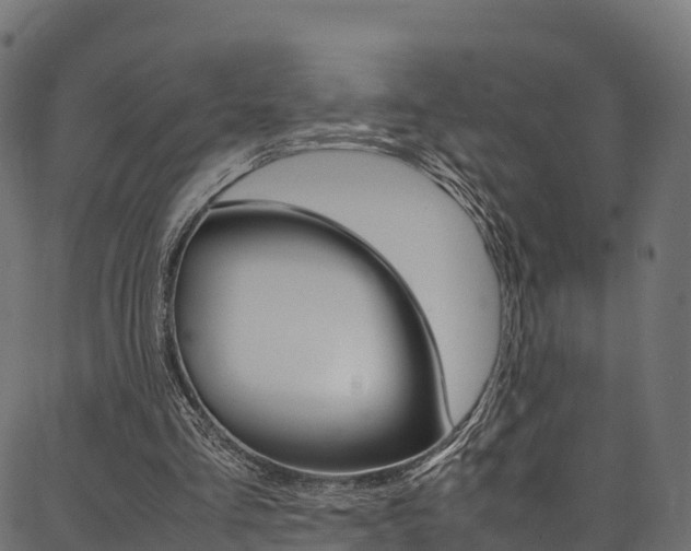 X0000086790293200704130901