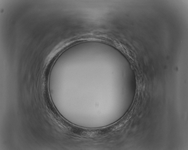 X0000086790295200704130901