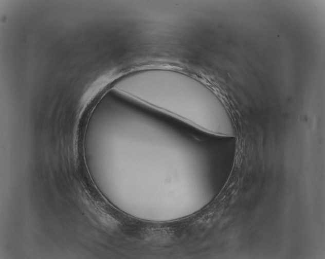 X0000086790296200704130901