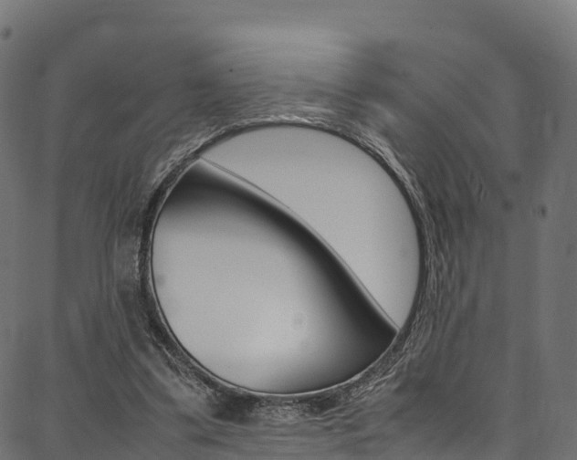 X0000086790299200704130901