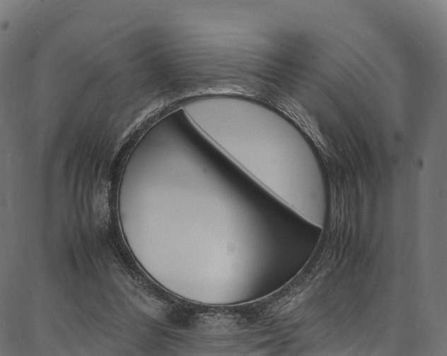 X0000086790300200704130901