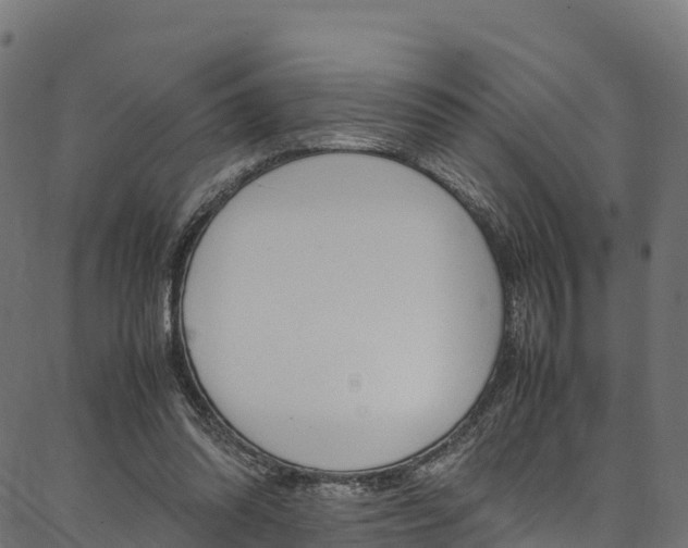 X0000086790302200704130901