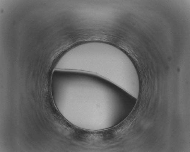 X0000086790303200704130901