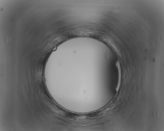 X0000086790309200704130901