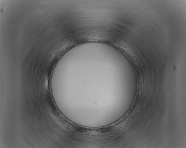 X0000086790310200704130901