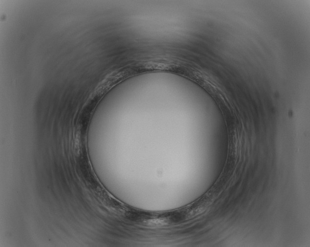 X0000086790312200704130901