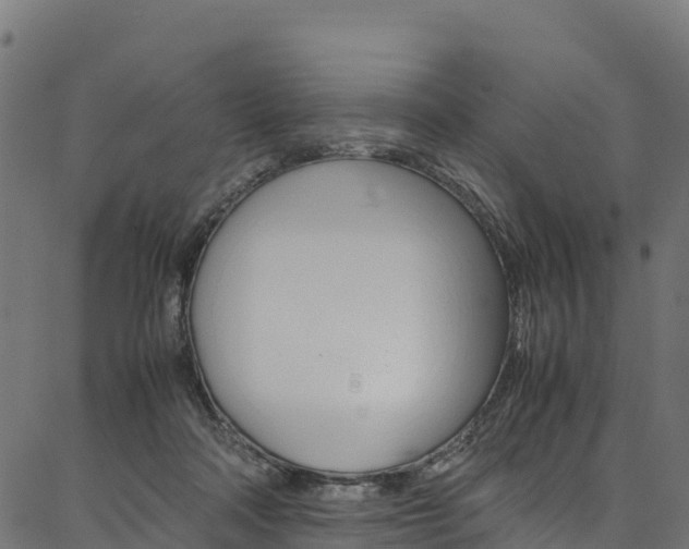 X0000086790314200704130901