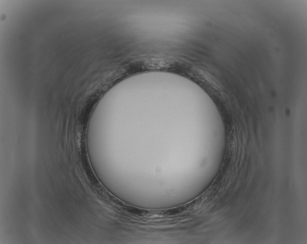 X0000086790315200704130901