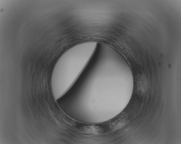 X0000086790316200704130901