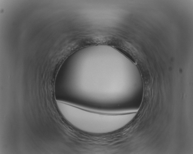 X0000086790317200704130901