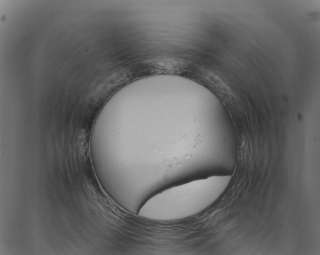 X0000086790318200704130901
