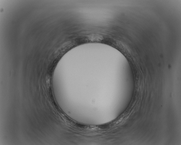 X0000086790321200704130901