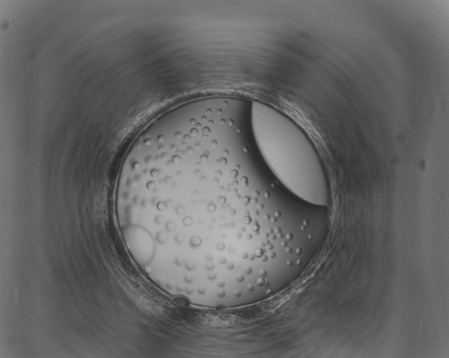 X0000086790346200704130900
