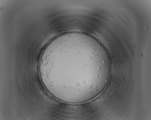 X0000086790347200704130900