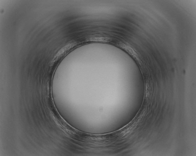X0000086790349200704130900