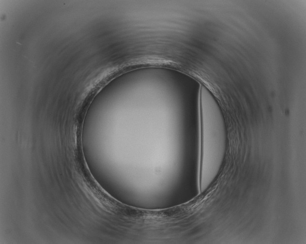X0000086790350200704130900