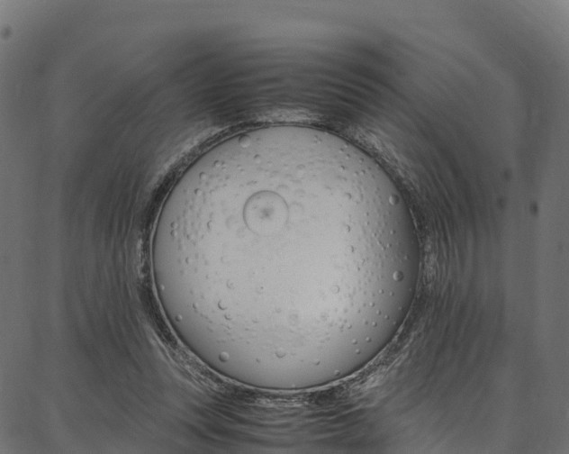 X0000086790351200704130900