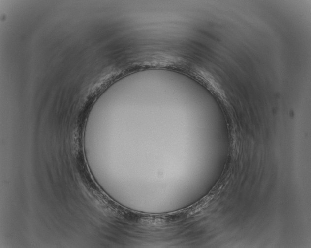 X0000086790354200704130900