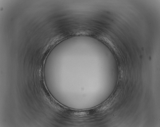 X0000086790357200704130900