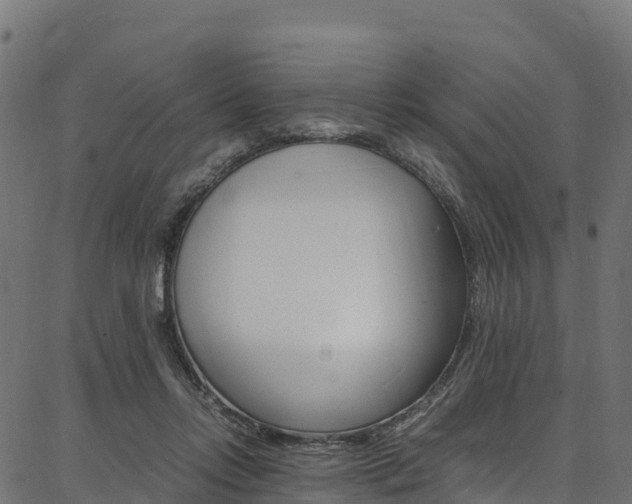 X0000086790358200704130900