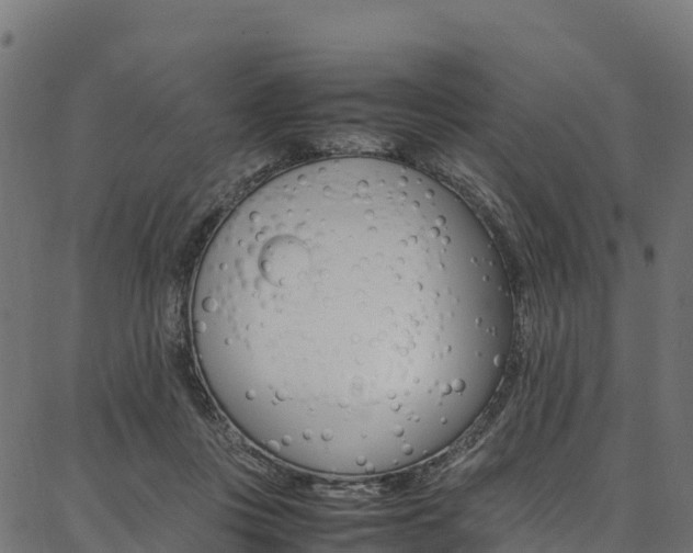 X0000086790359200704130900