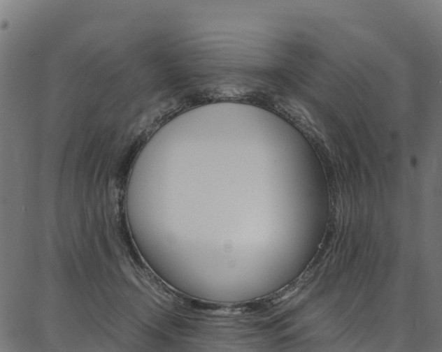 X0000086790366200704130900