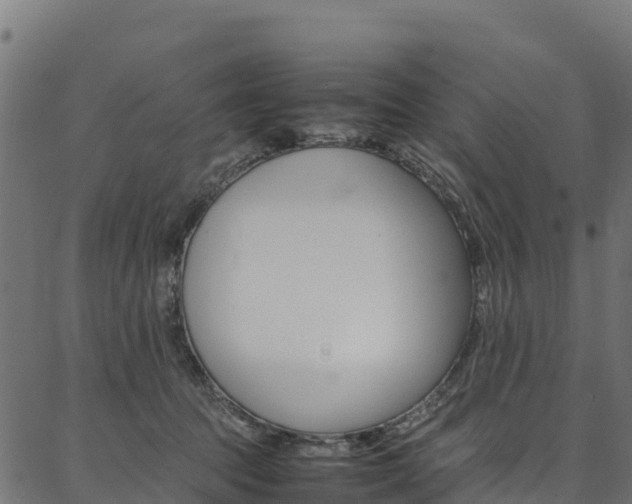 X0000086790369200704130900