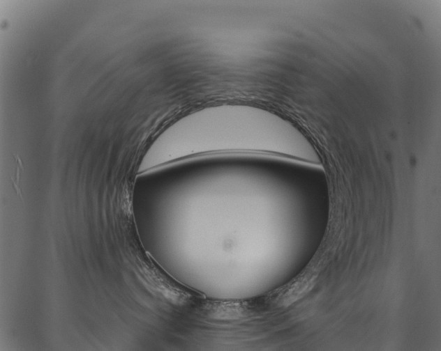 X0000086790384200704130901