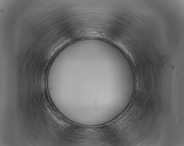 X0000086790390200704130900