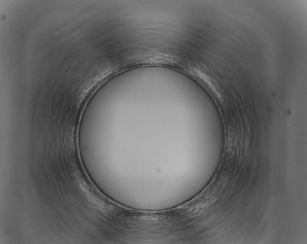 X0000086790394200704130900