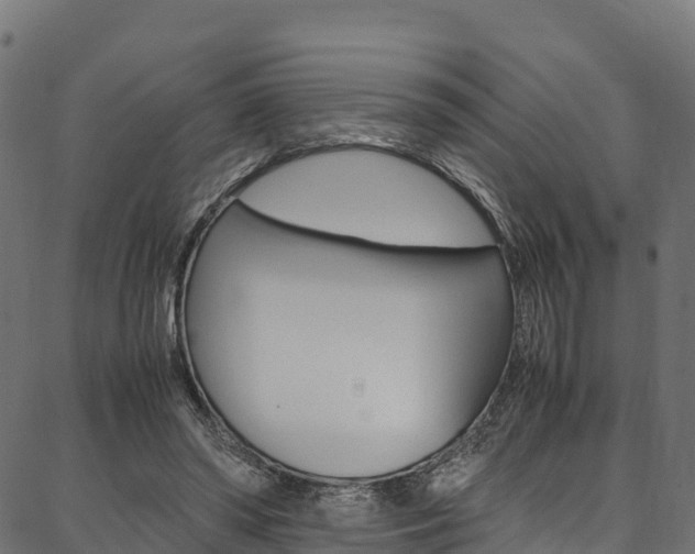 X0000086790398200704130900