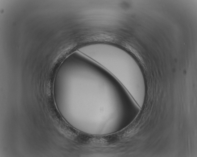 X0000086790403200704130900