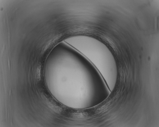 X0000086790404200704130900