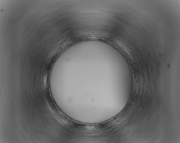X0000086790406200704130900
