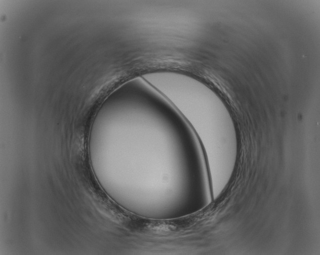 X0000086790407200704130900