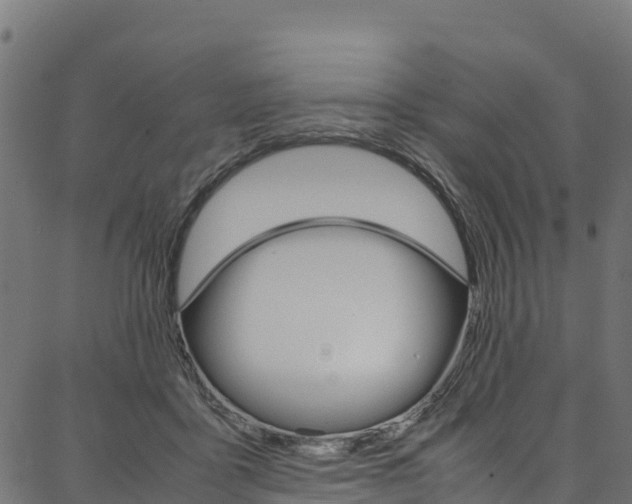 X0000086790411200704130859