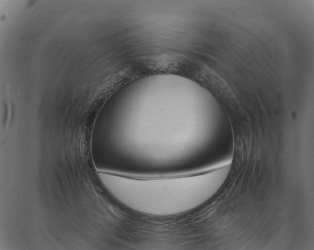 X0000086790416200704130859