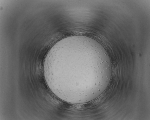 X0000086790418200704130859
