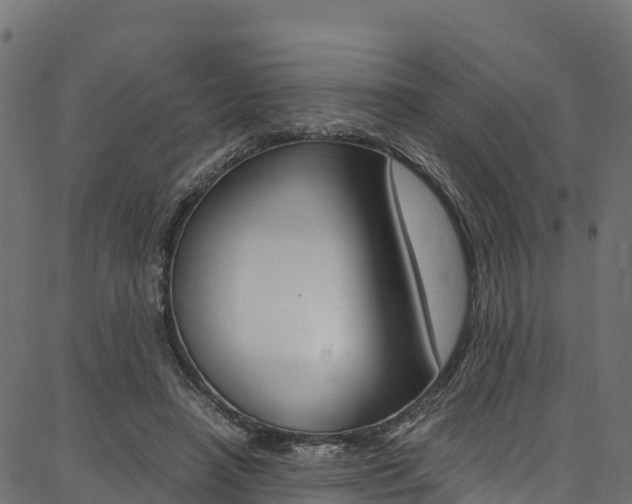 X0000086790450200704130859
