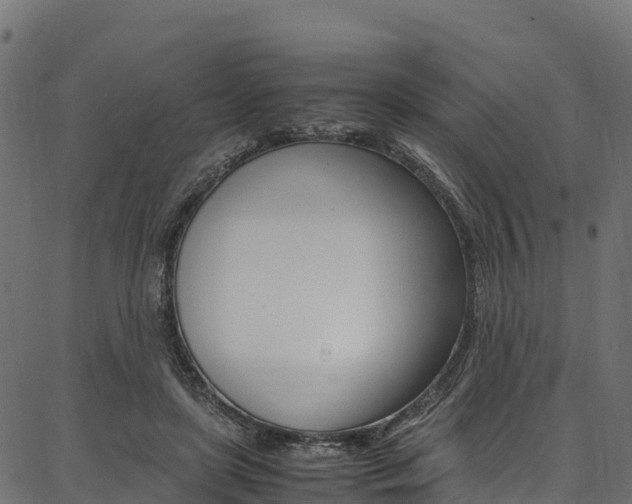 X0000086790451200704130859